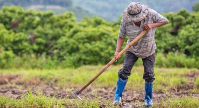 Detuvieron a un agricultor en Mérida por lanzar zanahorias a un río