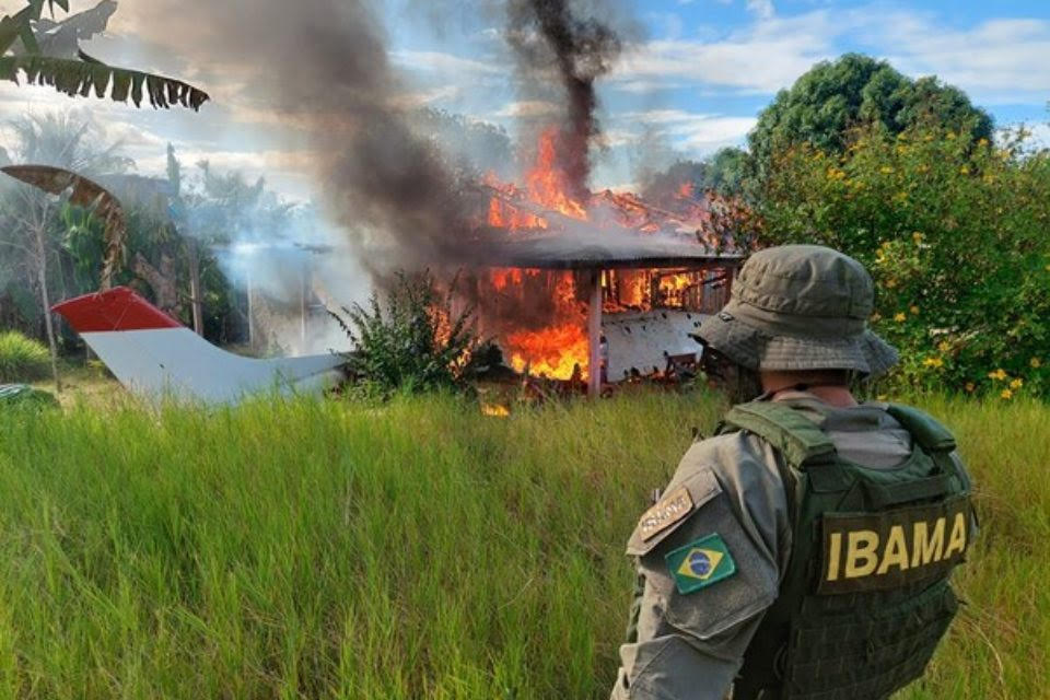 El crimen organizado dificulta lucha contra minería ilegal en Amazonia brasileña