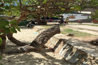 Malecon-de-Juan-Griego.-Victima-de-un-ecocidio