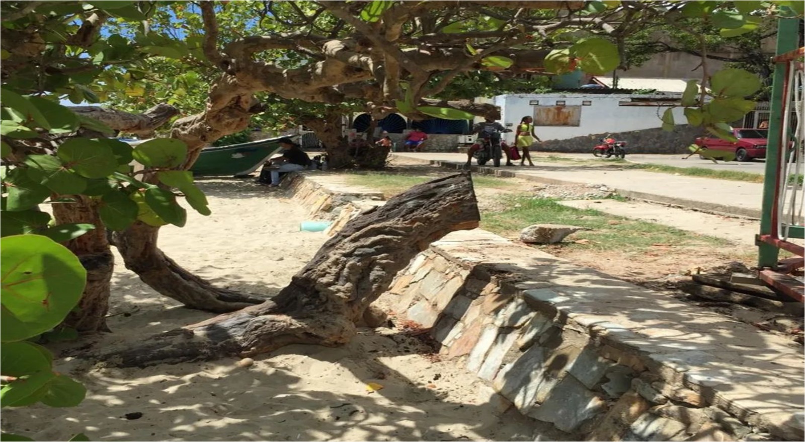 Malecon-de-Juan-Griego.-Victima-de-un-ecocidio