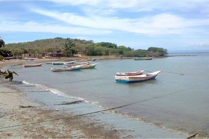 Pescadores de Playa Moreno enfrentan dificultades en temporada de pulpo