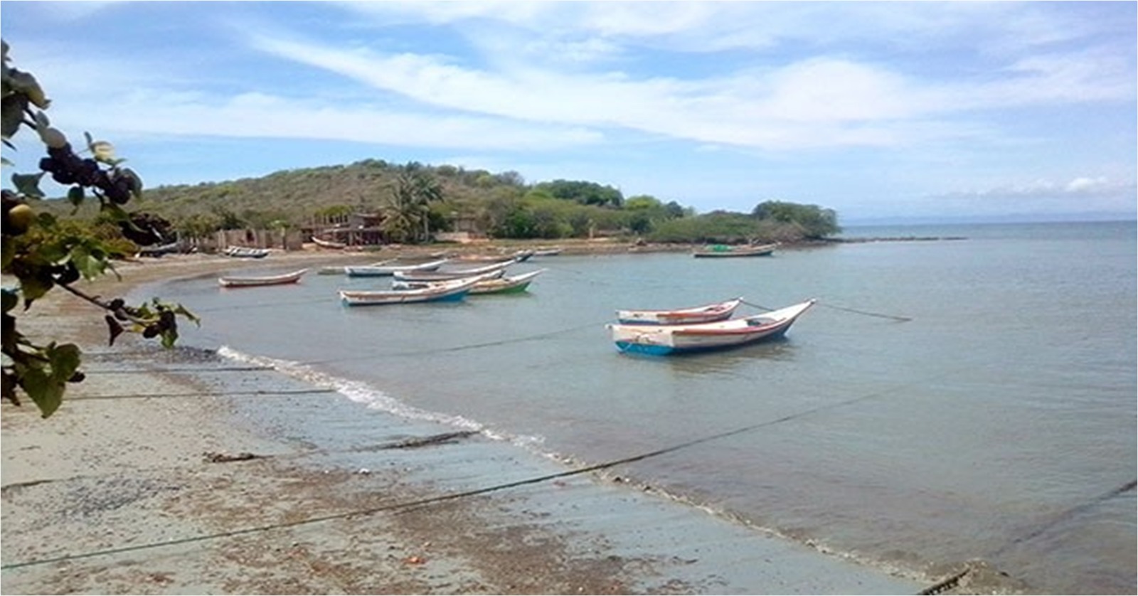 Pescadores de Playa Moreno enfrentan dificultades en temporada de pulpo