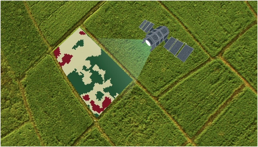 ¿Por qué los agricultores de Venezuela necesitan monitorización por satélite?