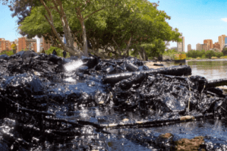 Nuevo derrame petrolero en Zulia afecta la fauna animal