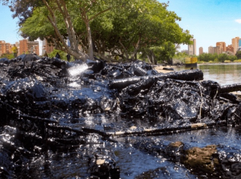 Nuevo derrame petrolero en Zulia afecta la fauna animal