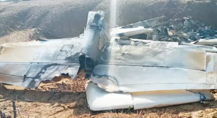 FANB destruyó avioneta proveniente de México