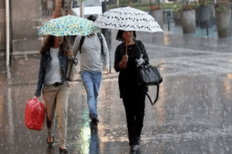 Las fuertes y continuas precipitaciones saturan el terreno, por lo que deben hacer más labores de siembra, y en consecuencia consumen más diésel, en un momento donde es difícil conseguir el combustible, advierte el presidente de la Confederación de Asociaciones de Productores Agropecuarios de Venezuela (Fedeagro), Celso Fantinel.