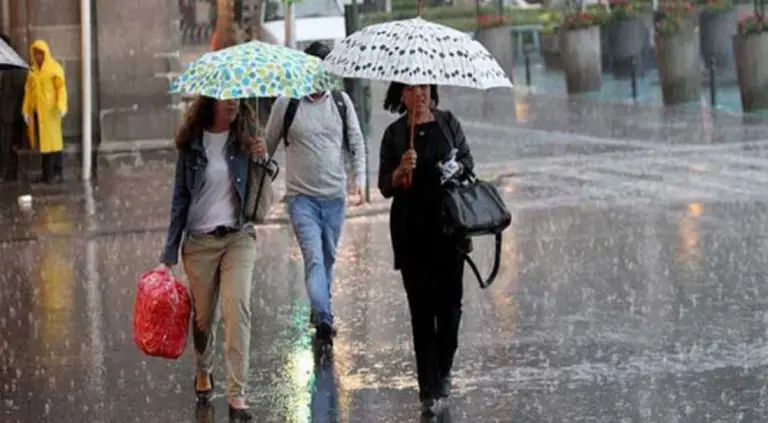 Las fuertes y continuas precipitaciones saturan el terreno, por lo que deben hacer más labores de siembra, y en consecuencia consumen más diésel, en un momento donde es difícil conseguir el combustible, advierte el presidente de la Confederación de Asociaciones de Productores Agropecuarios de Venezuela (Fedeagro), Celso Fantinel.