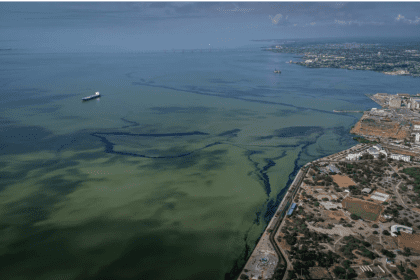 Pdvsa inicia limpieza por derrames de petróleo en el lago de Maracaibo