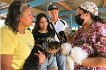 Mariño Mascotas Atención veterinaria totalmente gratuita