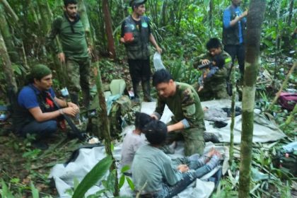 Dos semanas después, los equipos de emergencia encontraron la aeronave colgando de los árboles y los cuerpos de tres adultos: la madre, el piloto y el copiloto