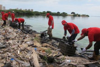 Pdvsa refuerza limpieza en el Lago de Maracaibo