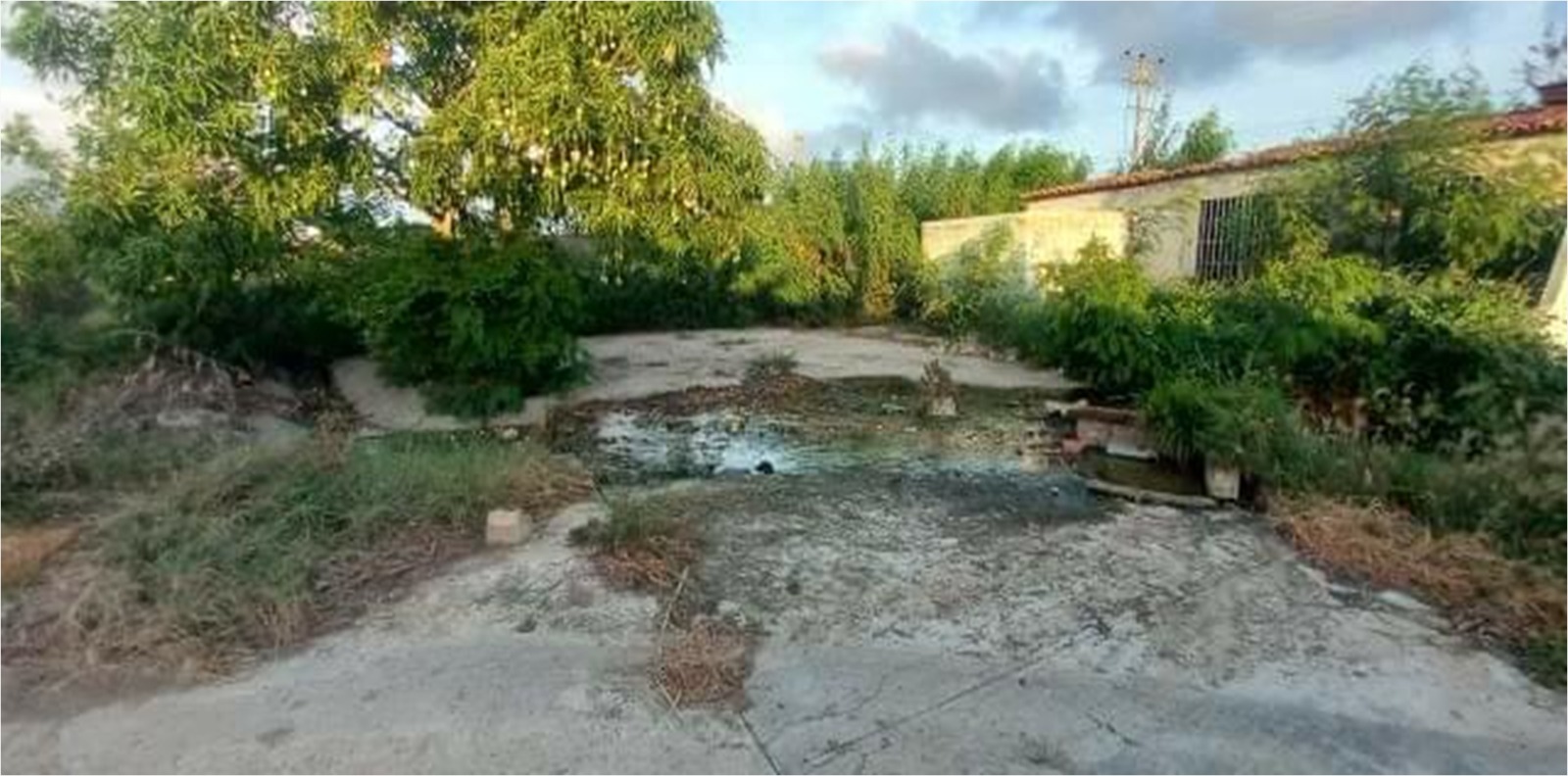 ¡Margarita! Vecinos en Garcia: Denuncian desbordamiento de cloacas
