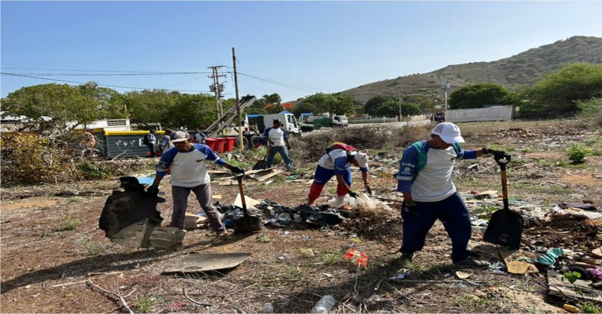 Alcaldía de Antolín en alianza con Econovo realiza saneamiento exhaustivo de la Bahía de Manzanillo