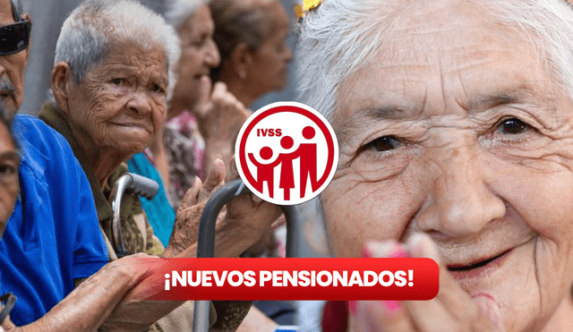 La pensión IVSS de septiembre 2023 comenzó a ser pagada el lunes 21 de agosto, así lo informó la cuenta oficial de Twitter del Instituto Venezolano de los Seguros Sociales (IVSS).