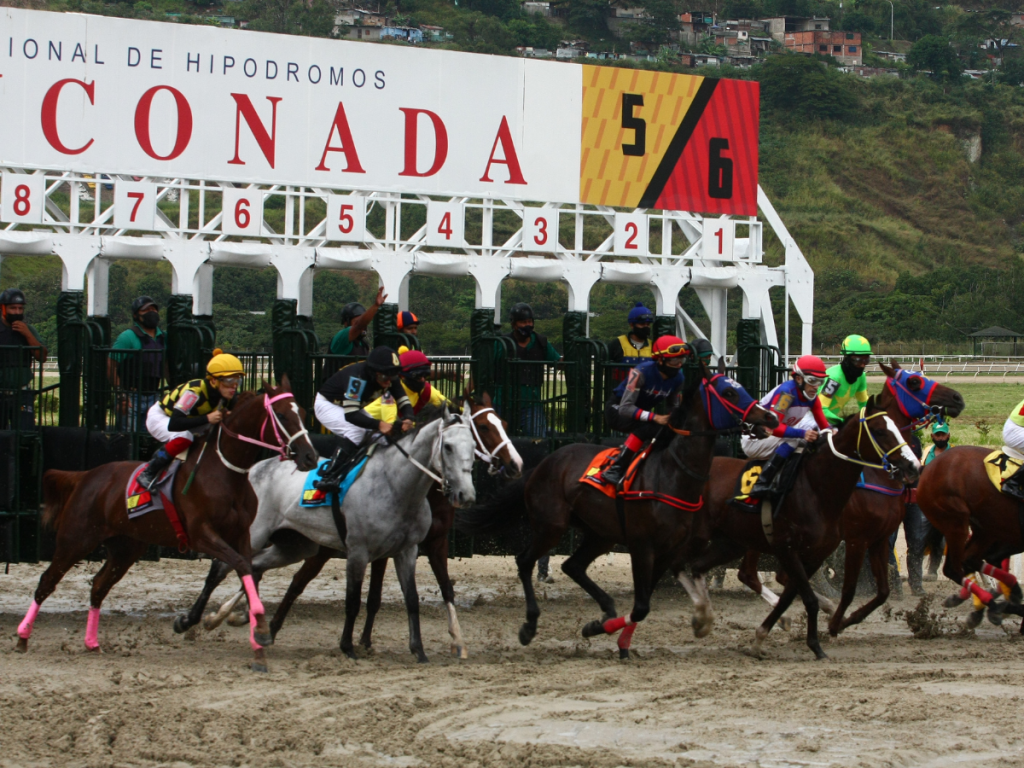 Los resultados de La Rinconada: un vistazo profesional a la competencia