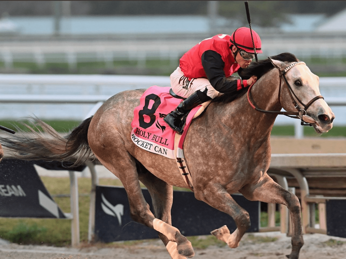 Alvarado, el favorito indiscutible para triunfar en el Whitnes Stakes