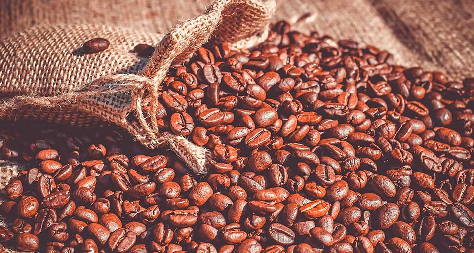 La producción global de café sufrirá una disminución en la temporada 2023-2024, según Rabobank Research