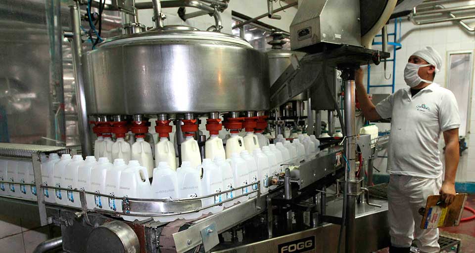 Observatorio del Circuito Lácteo: solo el 12% de la leche producida en Venezuela se destina a la industria