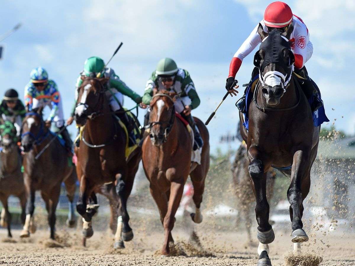 Jaramillo y “Kikito” D’Angelo destacaron en Gulfstream Park