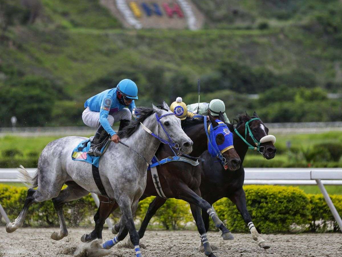 La Rinconada destaca con sus resultados – Líder en deportes