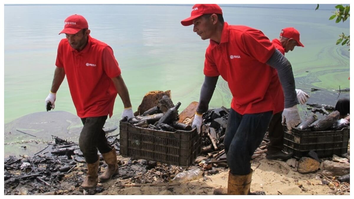 ¡QUE NO SEA FLOR DE UN DÍA! Así va el saneamiento del Lago de Maracaibo