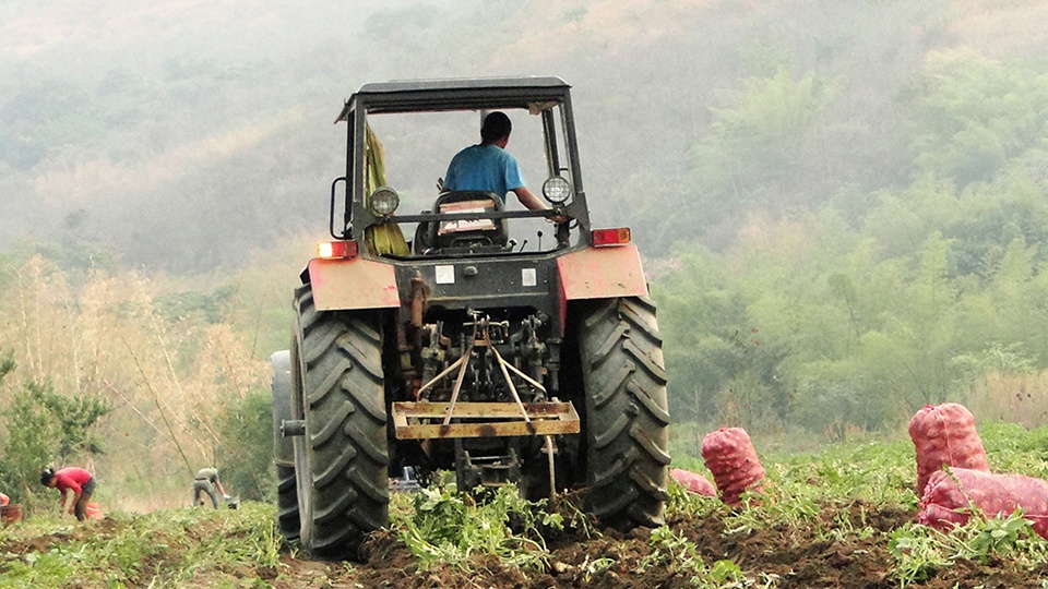 Falta de financiamiento y suministro de gasoil impactan la producción agrícola