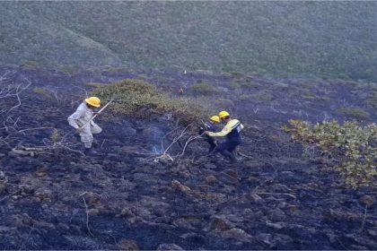 Bomberos forestales sofocan incendio en cerro detrás de la Urb. Villas de San Antonio