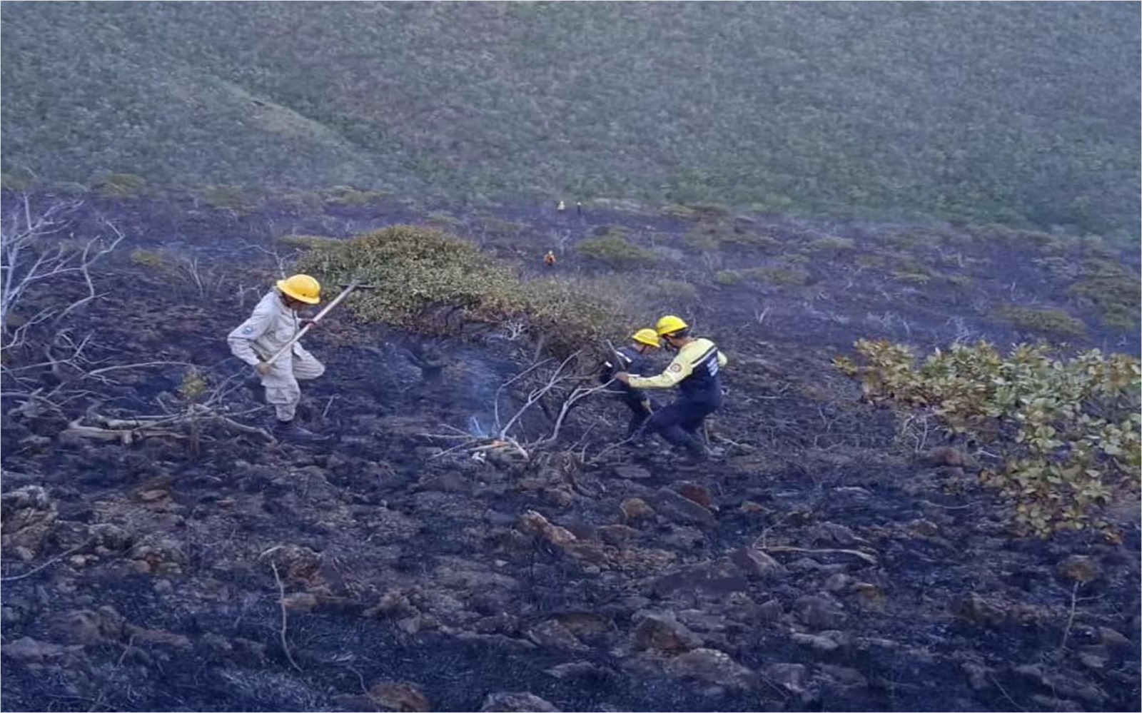 Bomberos forestales sofocan incendio en cerro detrás de la Urb. Villas de San Antonio