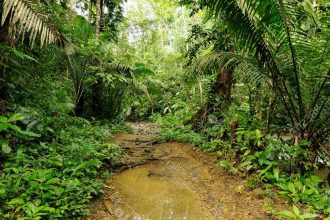 Venezolana embarazada es rescatada en la Selva del Darién +Video