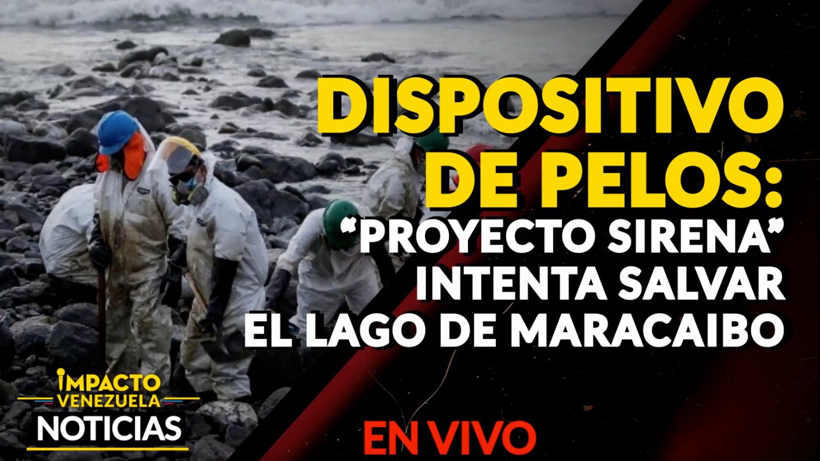 DISPOSITIVO DE PELOS: “Proyecto Sirena” intenta salvar el Lago de Maracaibo – VIDEO