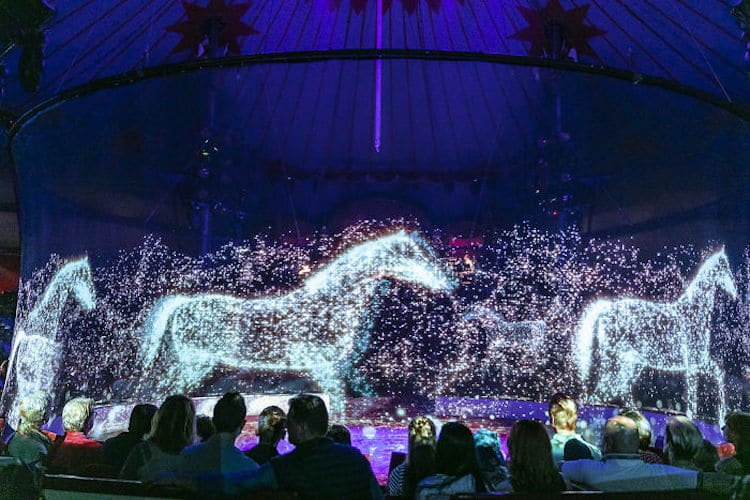 Este singular espectáculo cuenta con gigantescos caballos holográficos, elefantes imponentes y peces que se mueven maravillosamente por el escenario.