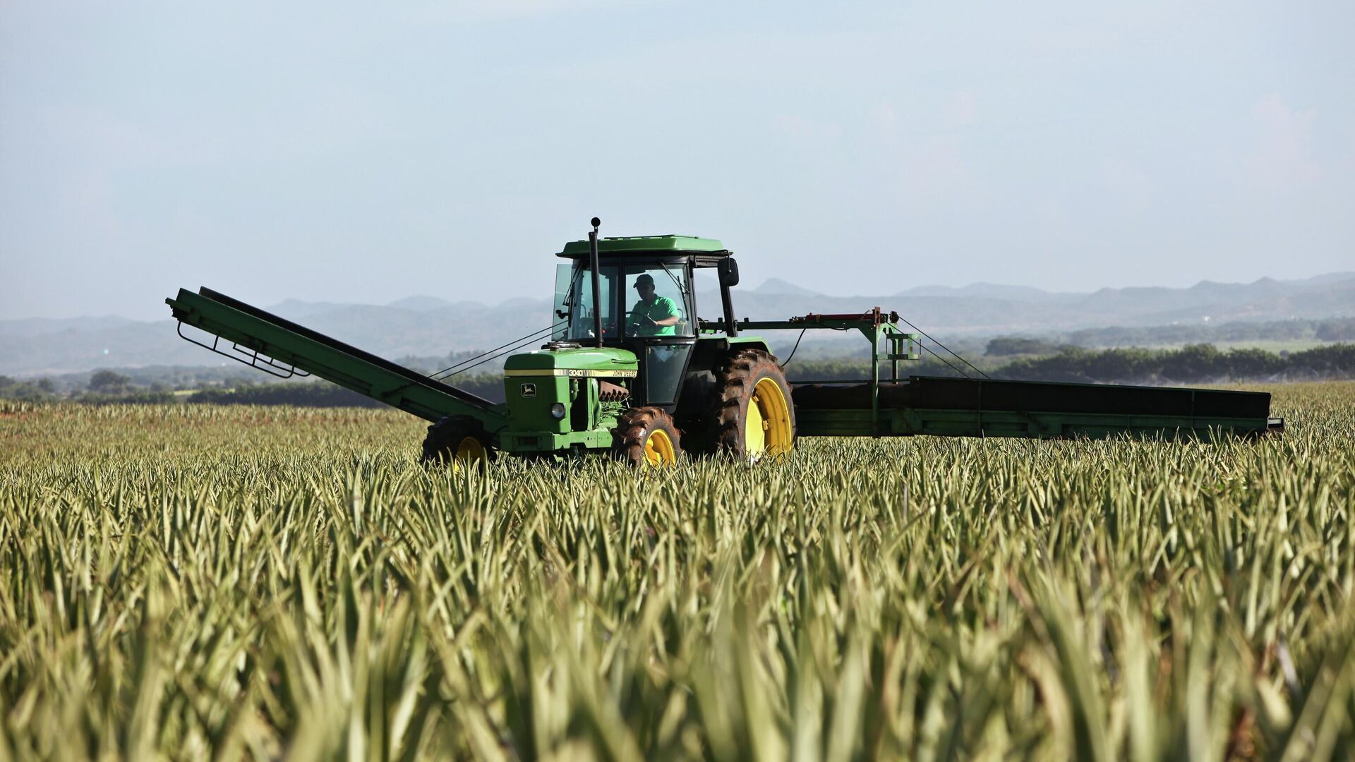 Aumenta la cooperación agrícola con Shandong en el marco de las ZEE