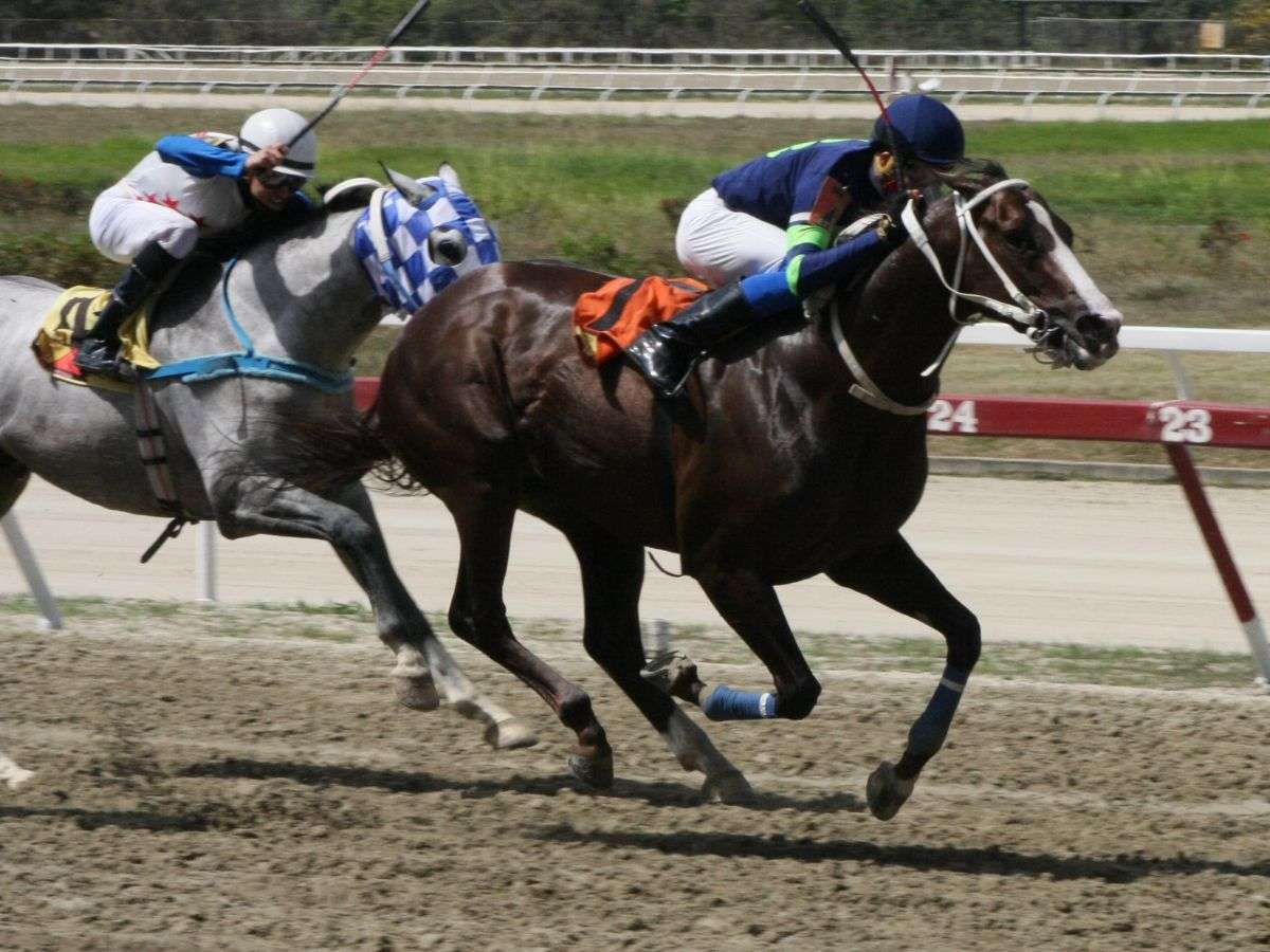 Cimarrón continúa su ascenso como líder en deportes