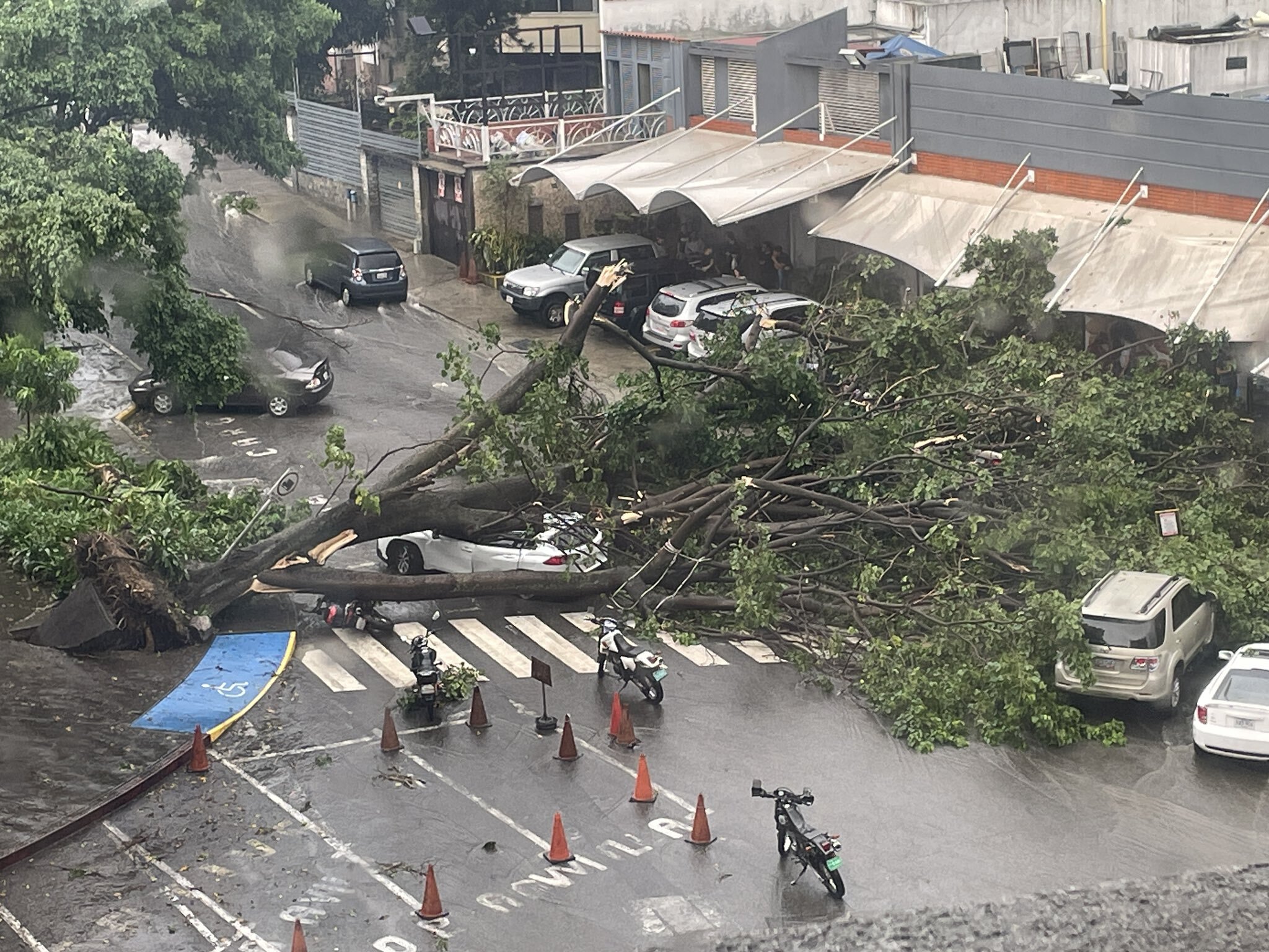 Durante una fuerte tormenta, se informa de la caída de árboles en Caracas