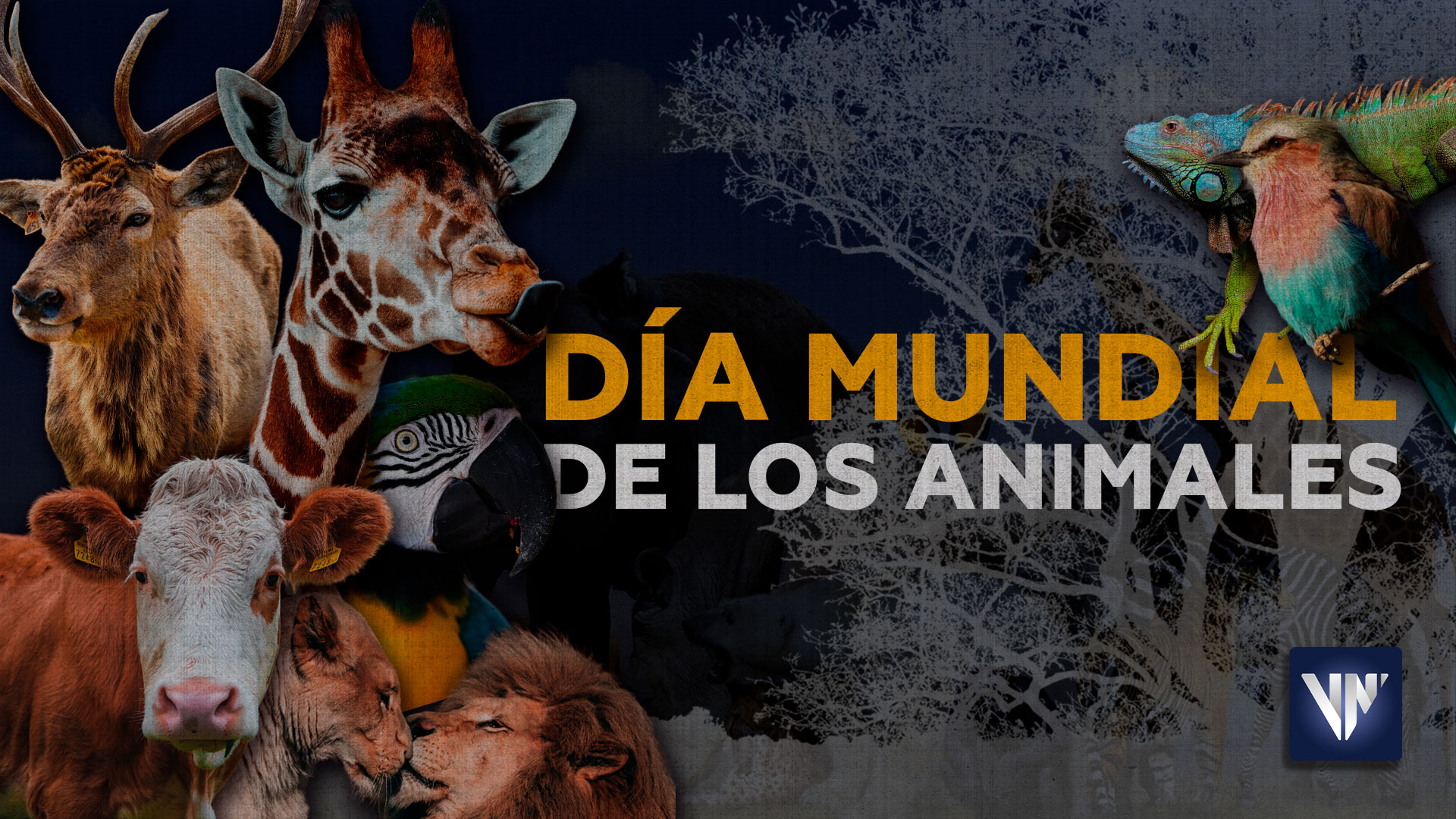 Día Mundial de los animales: ¿Cómo podemos celebrarlo?