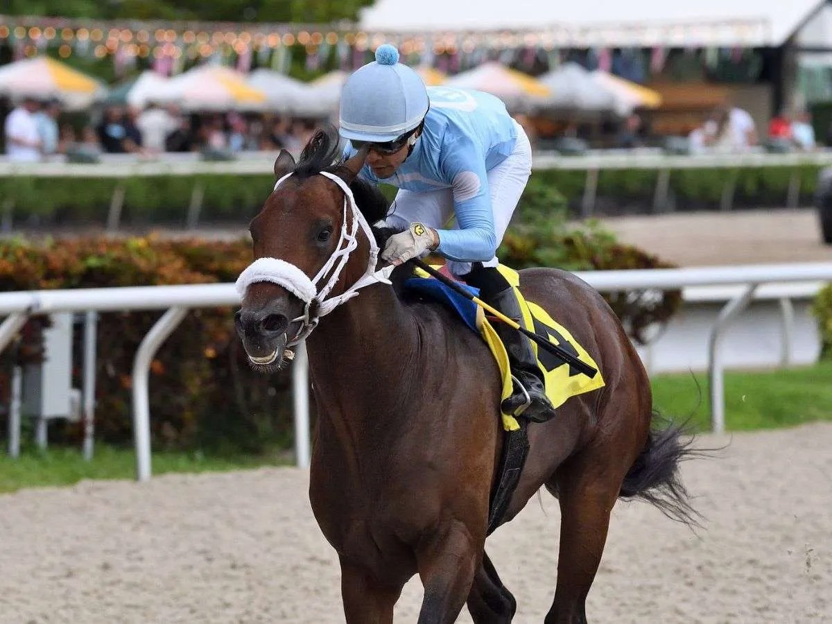 Samy Camacho ha crecido en Gulfstream Park