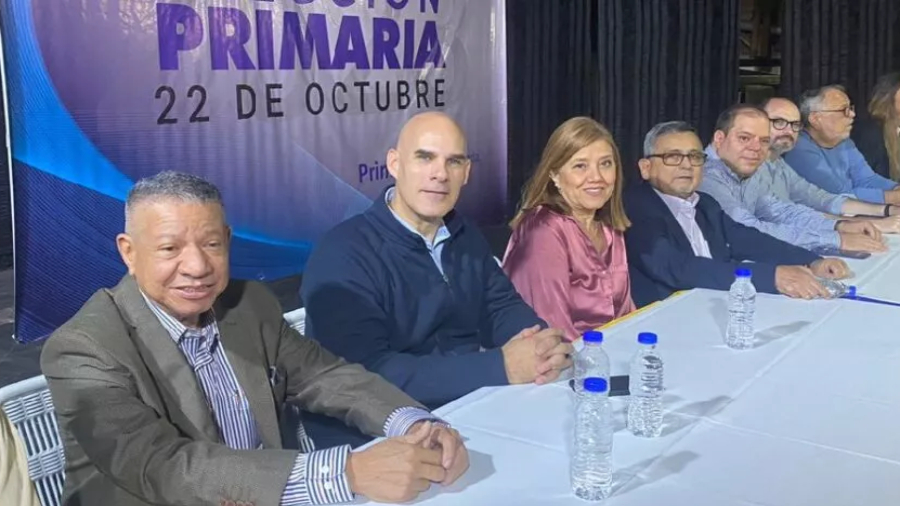 Cabe acotar que Carnevalli forma parte de una lista de miembros de las mesas regionales de la Comisión de Primaria que presentaron su renuncia.