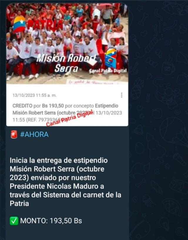 Bono Misión Robert Serra