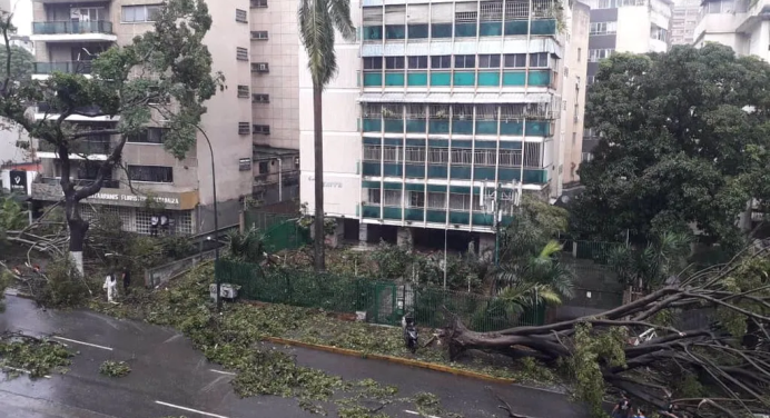 Fuerte aguacero deja árboles caídos en el municipio Chacao #21Oct