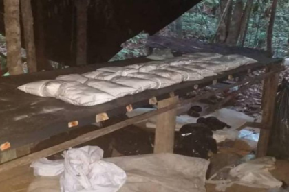 Desmantelan 8 campamentos Tancol y 2 laboratorios de cocaína en Zulia