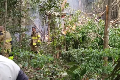 Un video grabado desde el lugar del accidente, difundido en redes sociales, mostraba restos de la aeronave en llamas esparcida en una zona boscosa.