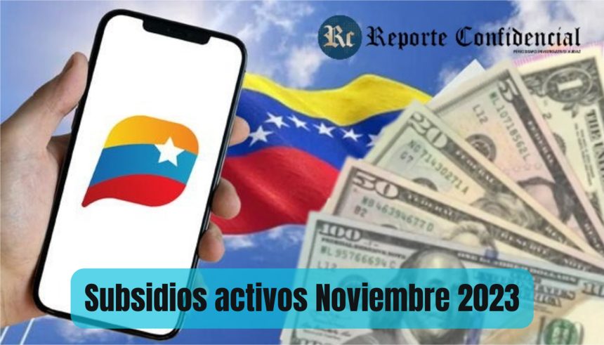 Subsidios activos Noviembre PATRIA