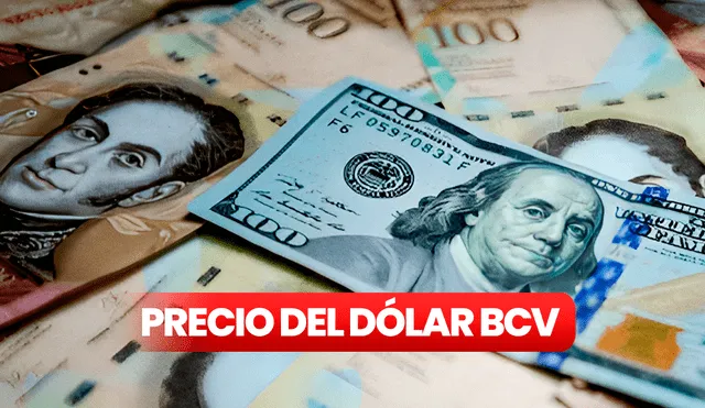 El Banco Central de Venezuela actualizó en 35,37 el precio oficial del dólar en el país llanero para hoy, 14 de noviembre de 2023.