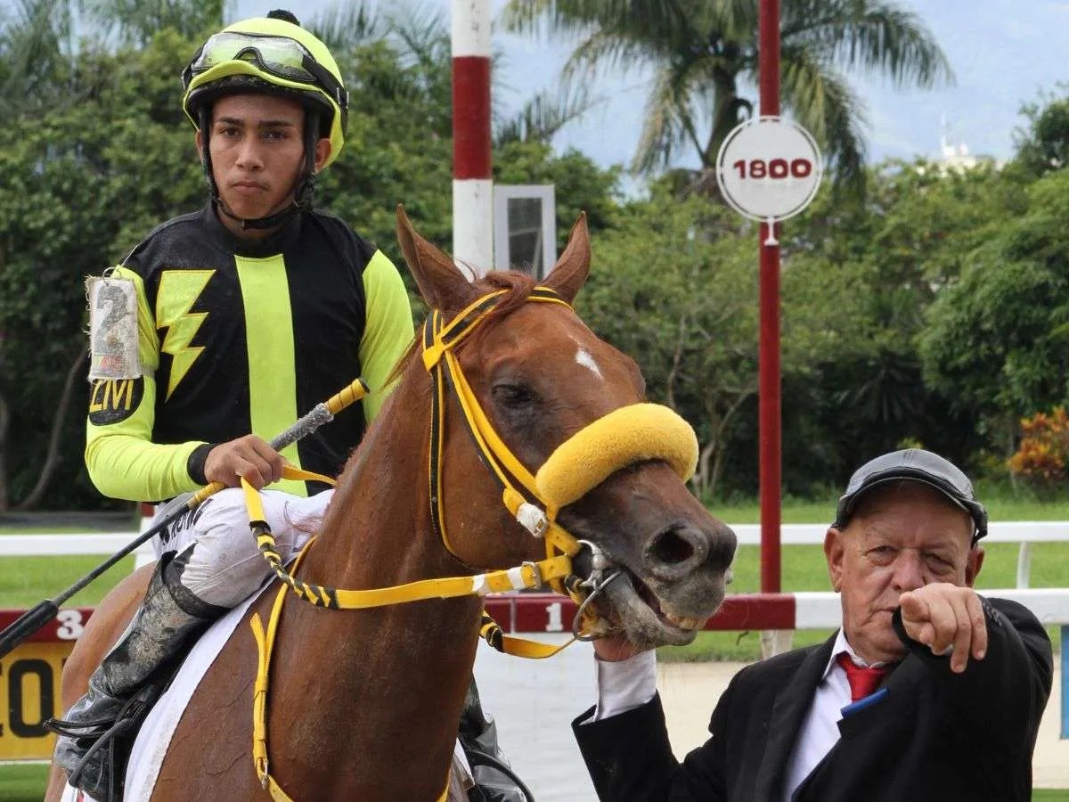 Hemirxon Medina se adentra en el mundo de la estadística en busca de su dominio