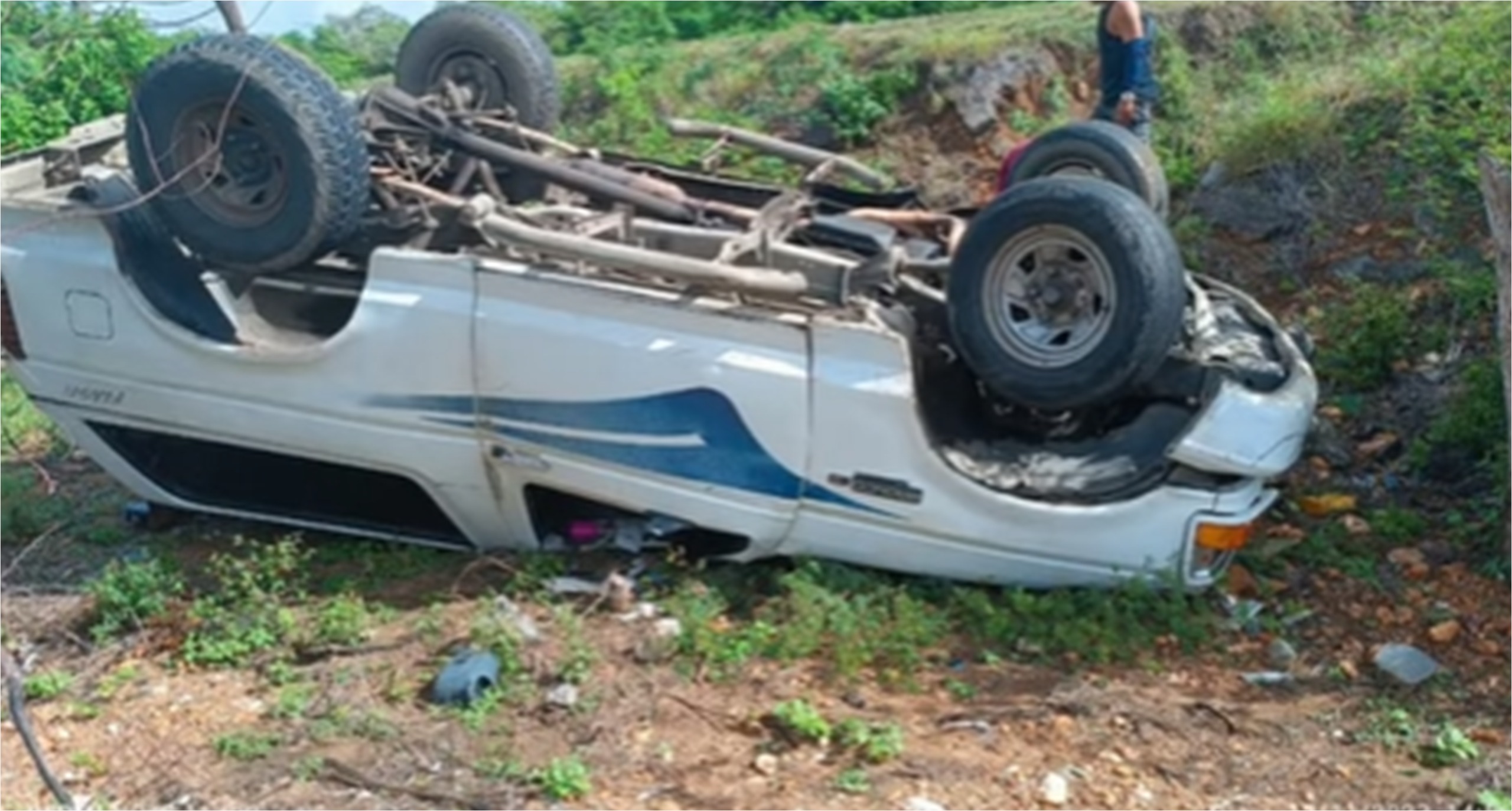 Camioneta se vuelca al evadir ganado suelto en carretera de Pedrogonzález, municipio Gomez.