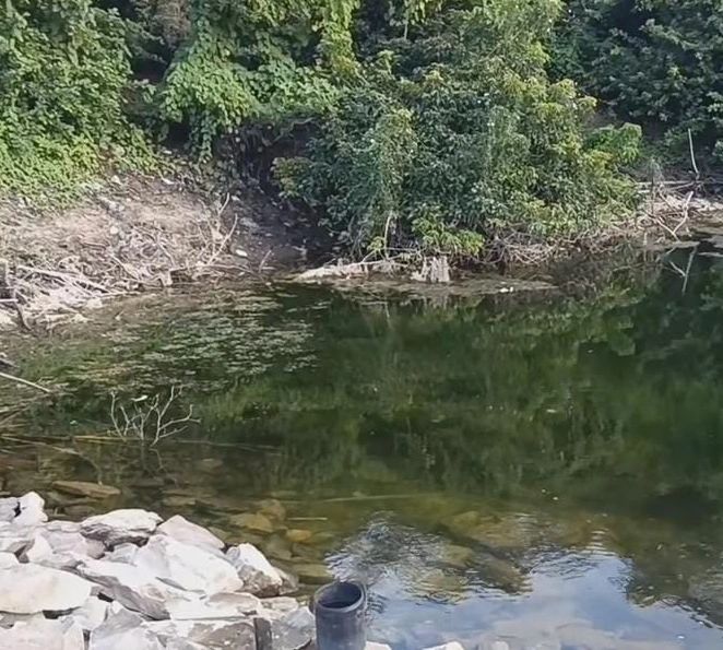 Alerta por malas condiciones del agua en el dique de La Asunción