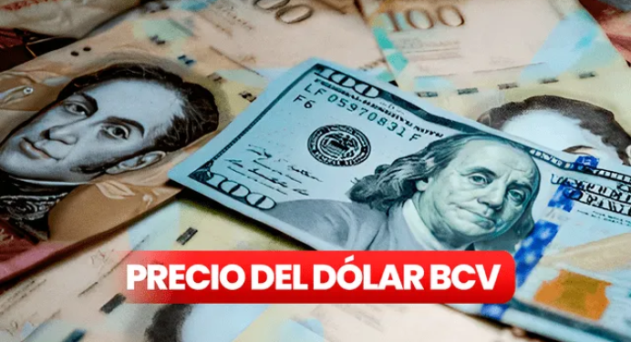 El precio del dólar al inicio del 20 Nov