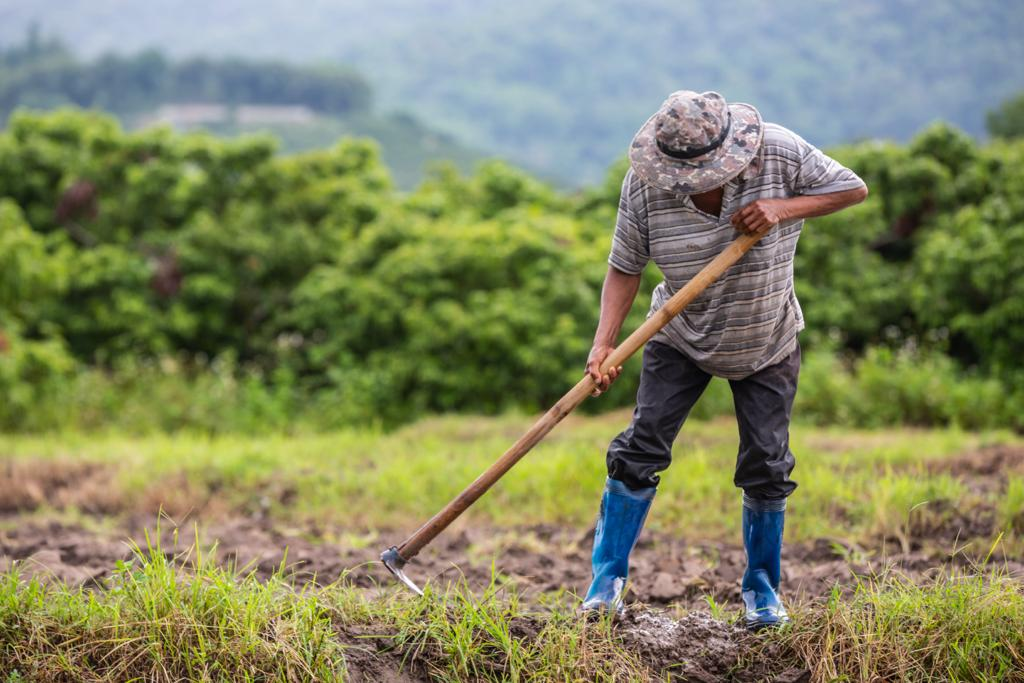 El financiamiento oportuno al agricultor es la clave para obtener alimentos de calidad

