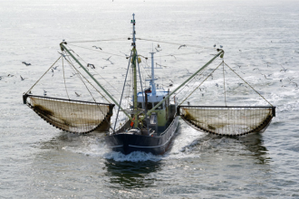 Nueva Esparta: Alertan que el precio del combustible afectará la pesca de altura